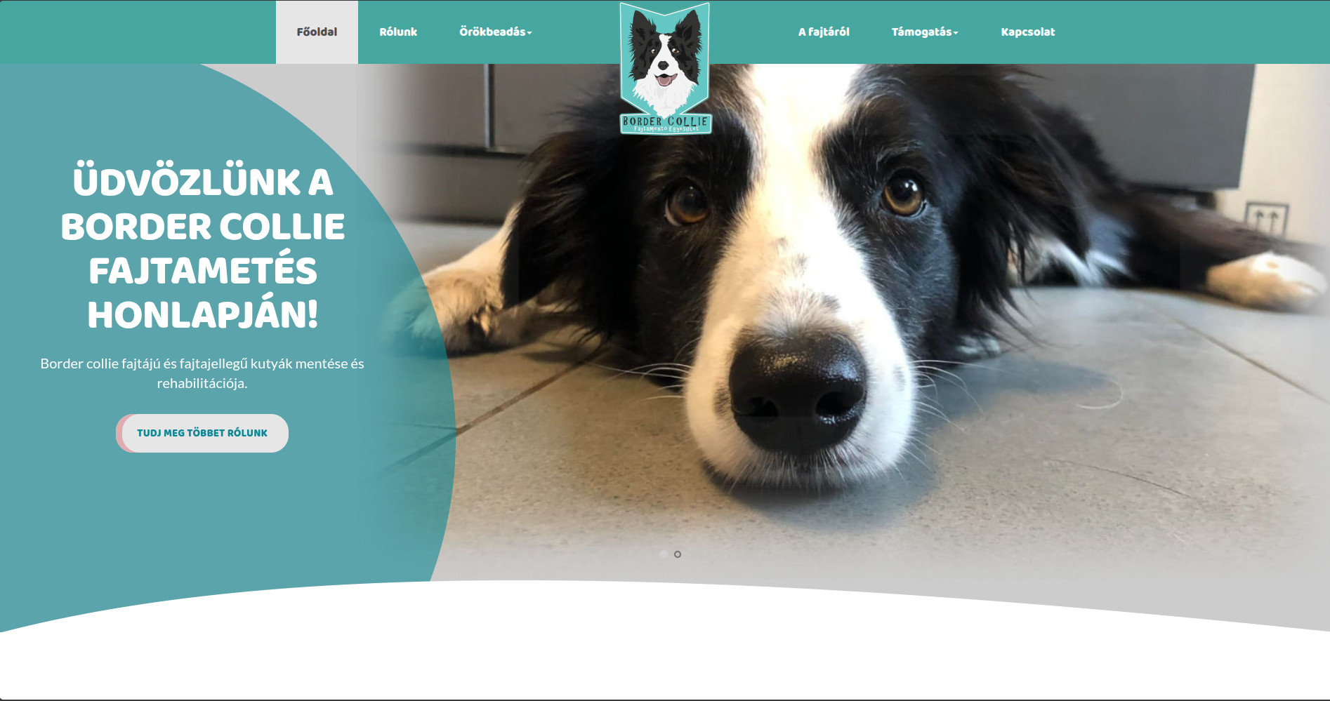 bordercolliefajtamentes — asztali nézet
