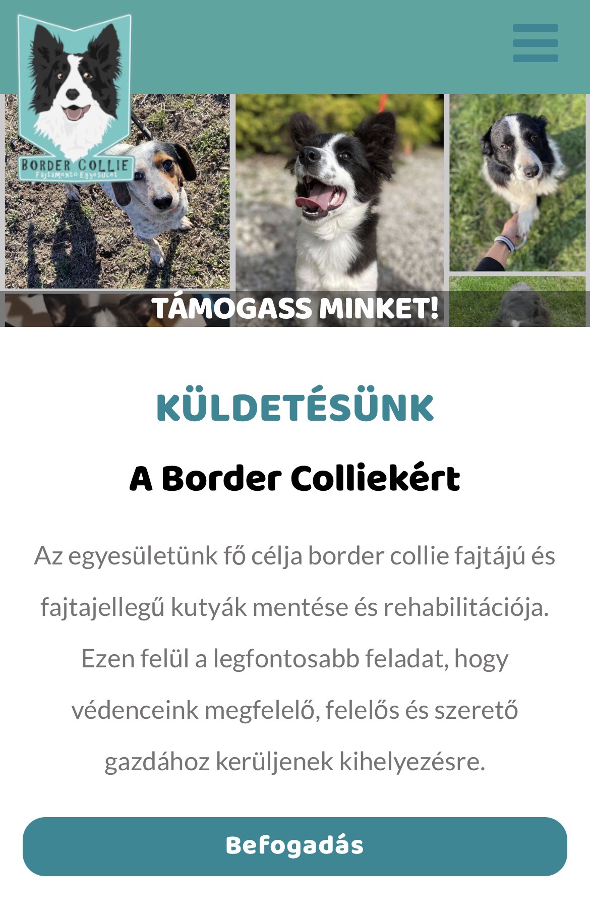 bordercolliefajtamentes — mobil nézet