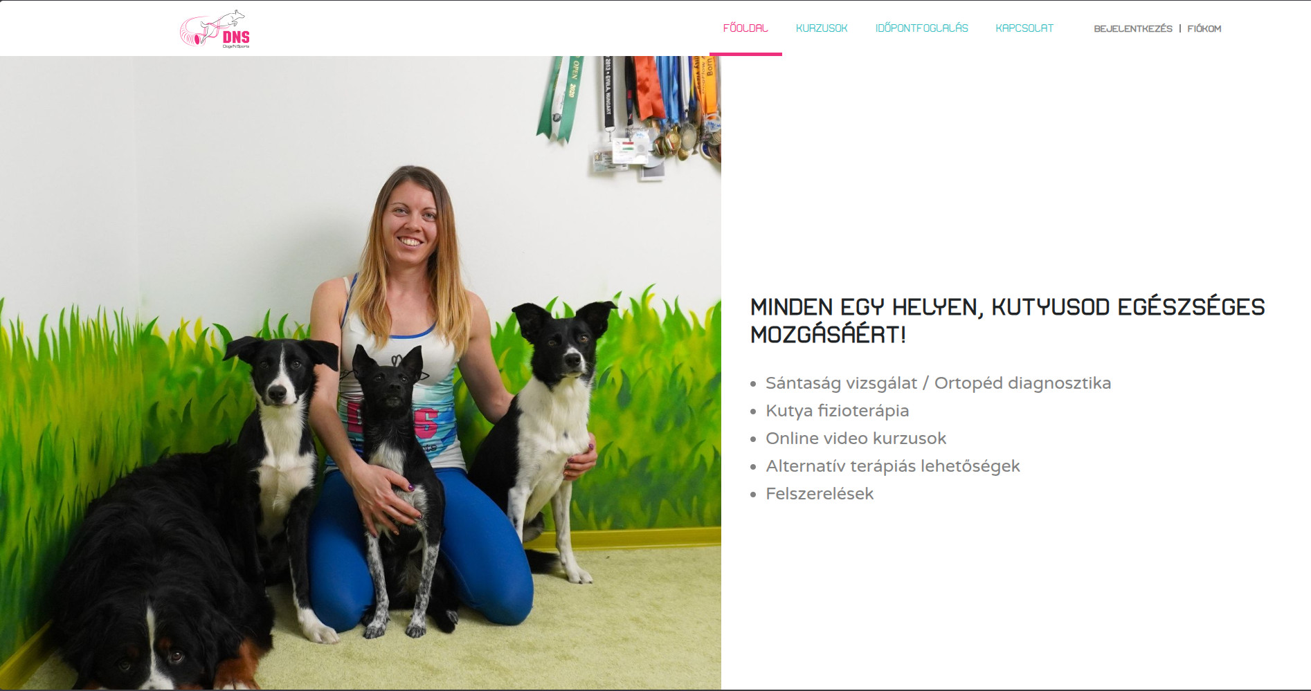 dogsnsports.hu — asztali nézet