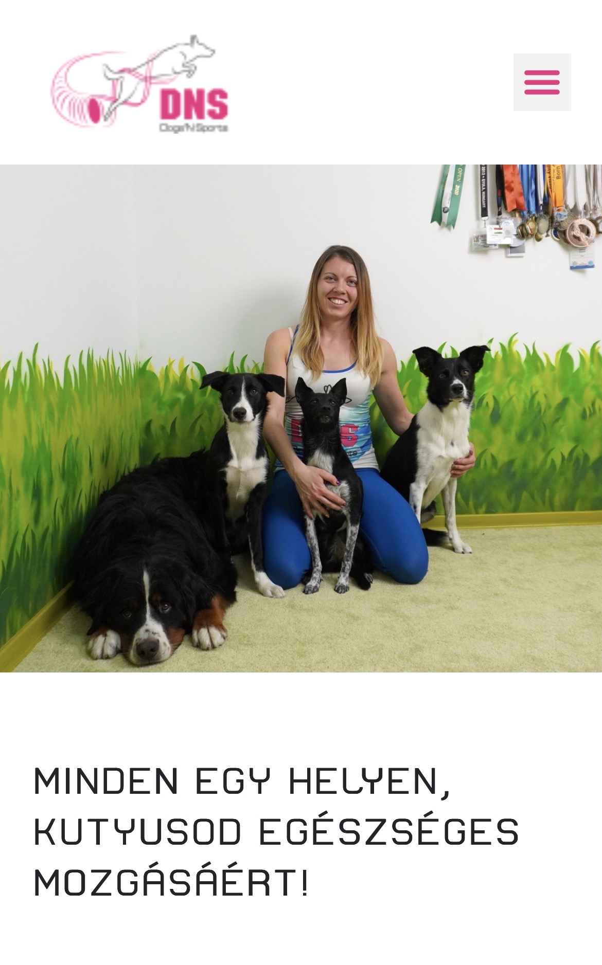 dogsnsports.hu — mobil nézet